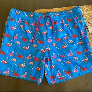 BOGO Men’s Swim trunks - Flamingos